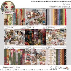 Bolete {Collection Bundle} by Mixed Media by Erin