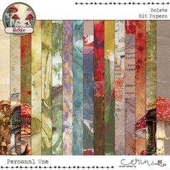 Bolete {Kit Papers} by Mixed Media by Erin