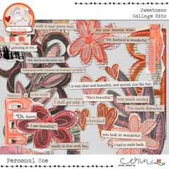 Sweetness {Collection Bundle} by Mixed Media by Erin Collage Bits