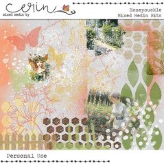 Honeysuckle {Mixed Media Bits} By Mixed Media by Erin paint