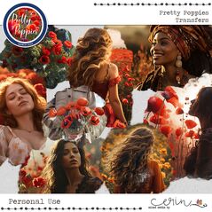 Pretty Poppies {Transfers} by Mixed Media by Erin