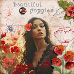 Pretty Poppies {Transfers} by Mixed Media by Erin example art by Zanthia