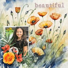 Pretty Poppies {Poppy Fields} by Mixed Media by Erin example art by EvelynD2