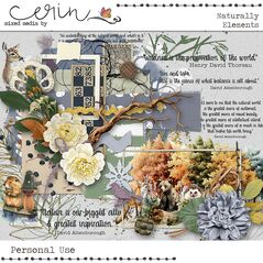 Naturally {Kit Elements} by Mixed Media by Erin