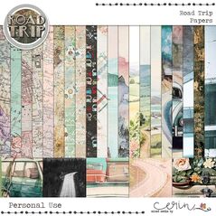 Road Trip {Collection Bundle}  by Mixed Media by Erin Papers