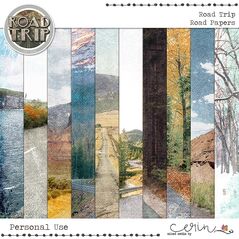 Road Trip {Collection Bundle}  by Mixed Media by Erin Road Papers