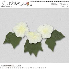 Glitter Flowers Vol. 2 (CU) by Mixed Media by Erin