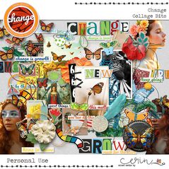 Change {Collection Bundle} by Mixed Media by Erin Collage Bits