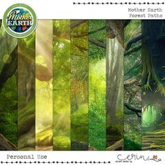 Mother Earth {Forest Paths} by Mixed Media by Erin
