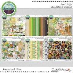 Seedlings {Collection Bundle} by Mixed Media by Erin
