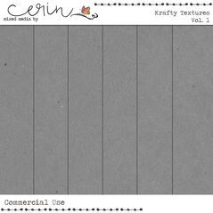 iNSD 2025 Grab Bag (CU) by Mixed Media by Erin Kraft Texutures Vol. 1