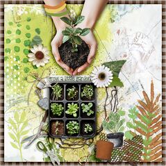 Seedlings {Extra Papers} by Mixed Media by Erin example art by Cindy