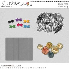 iNSD 2025 Grab Bag (CU) by Mixed Media by Erin