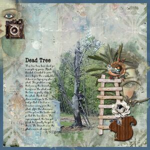 Layout by Vicky