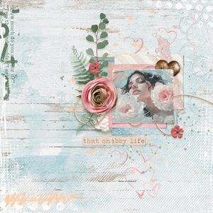 So Shabby {Page Kit}  by Mixed Media by Erin example art by Elly