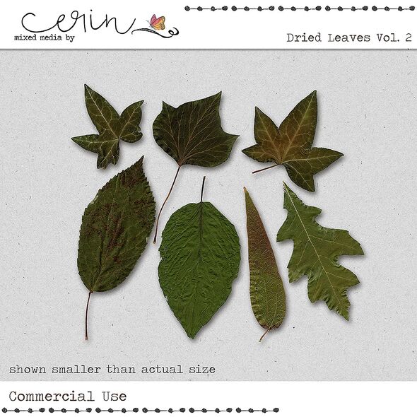 Dried Leaves Vol. 2 (CU) by Mixed Media by Erin