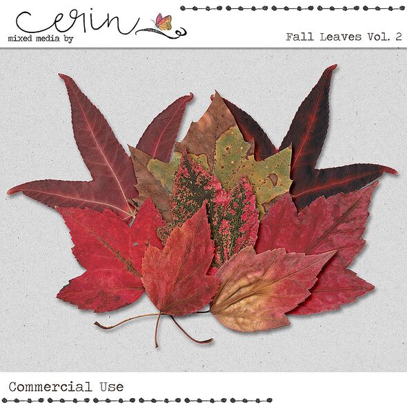 Fall Leaves Vol. 2 (CU) by Mixed Media by Erin