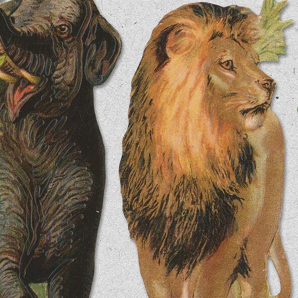 Vintage Die Cut Animals Vol. 2: Zoo (CU)  by Mixed Media by Erin detail 02