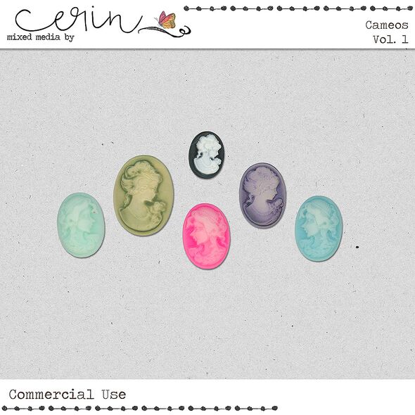 Cameos Vol. 1 (CU) By Mixed Media by Erin