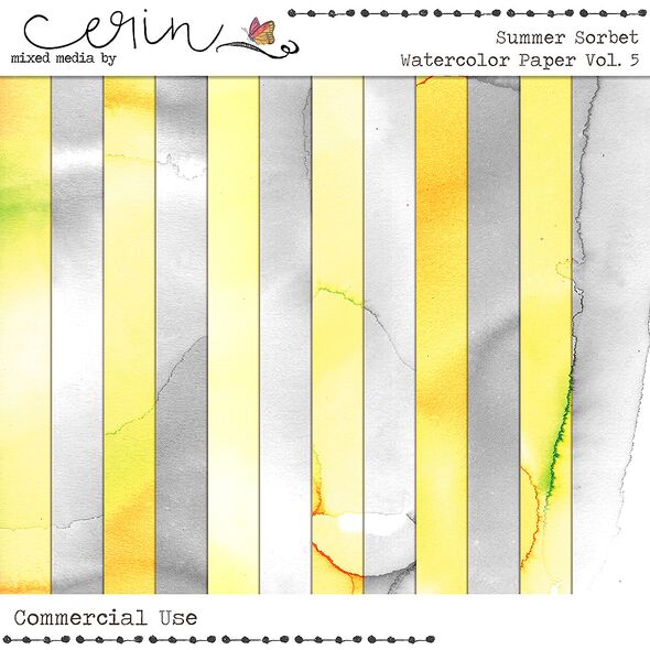 Summer Sorbet Vol. 5 (CU) by Mixed Media by Erin