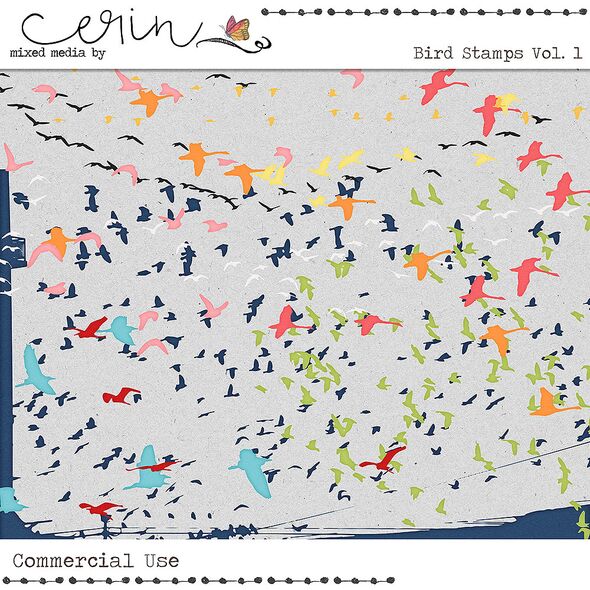 Bird Stamps Vol. 1 (CU) by Mixed Media by Erin