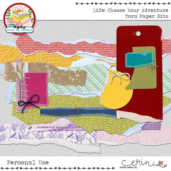 Life: Choose Your Adventure {Mega Bundle} by Mixed Media by Erin Torn Paper Bits