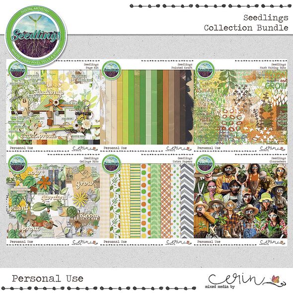 Seedlings {Collection Bundle} by Mixed Media by Erin